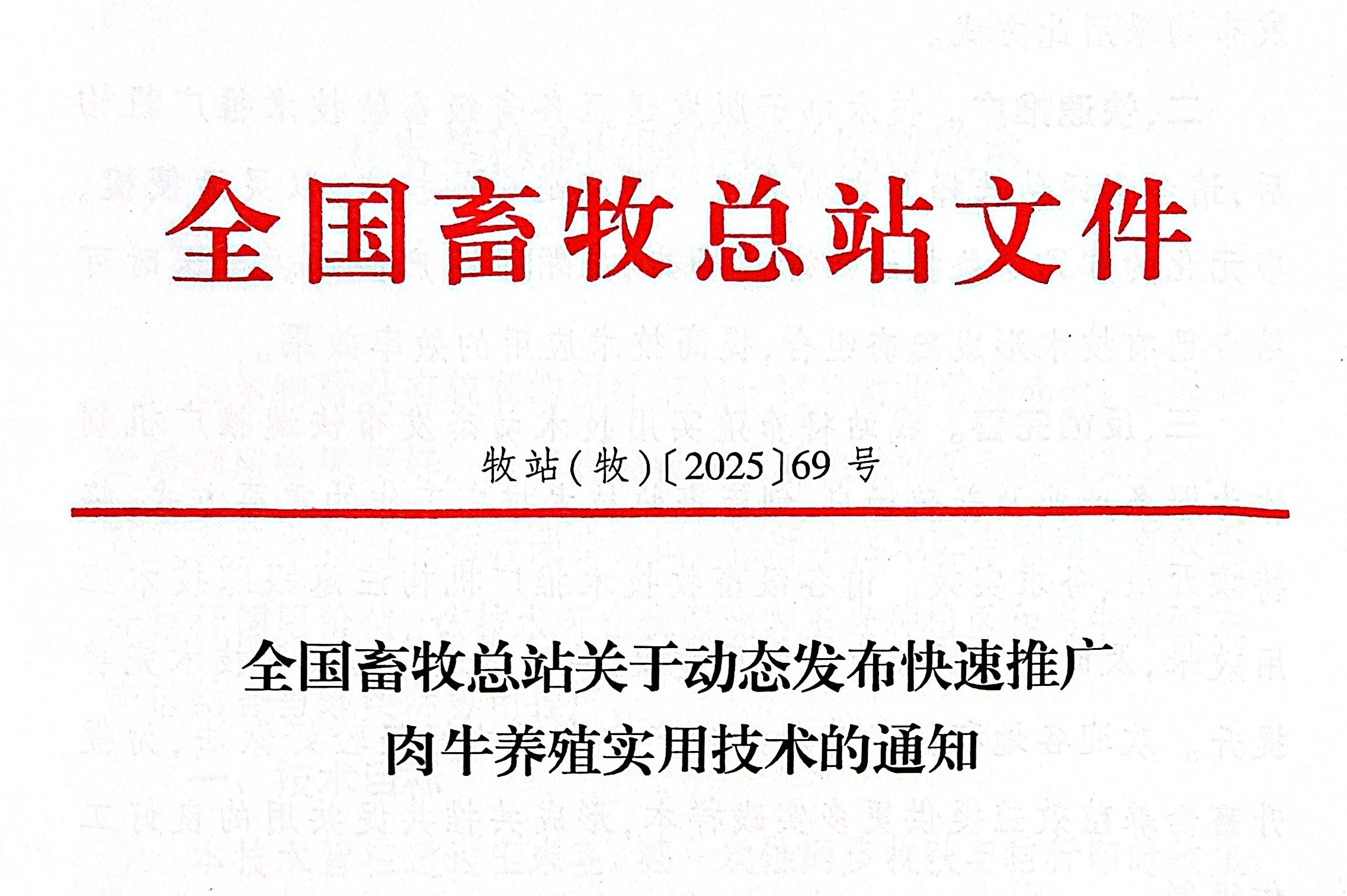 首页.jpg