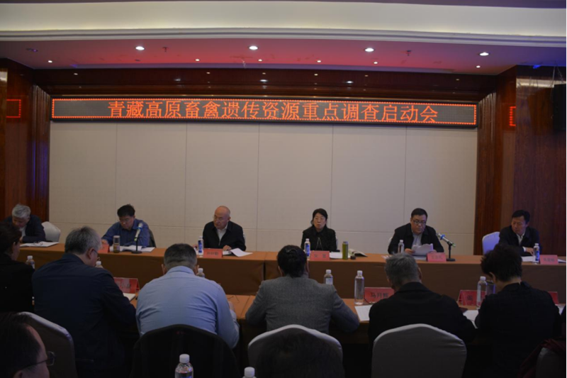 20210429新闻稿—青藏高原畜禽遗传资源重点调查启动会在西宁召开158.png