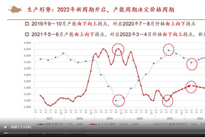 生猪当年生产形势解读.jpg