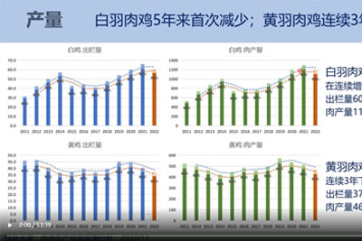 肉鸡当年生产形势解读.jpg
