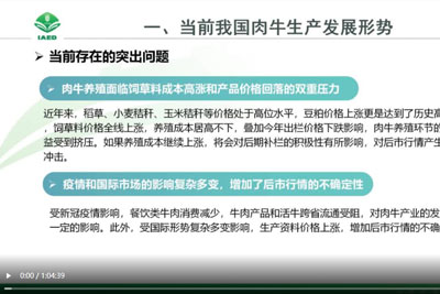 肉牛当年生产形势解读.jpg